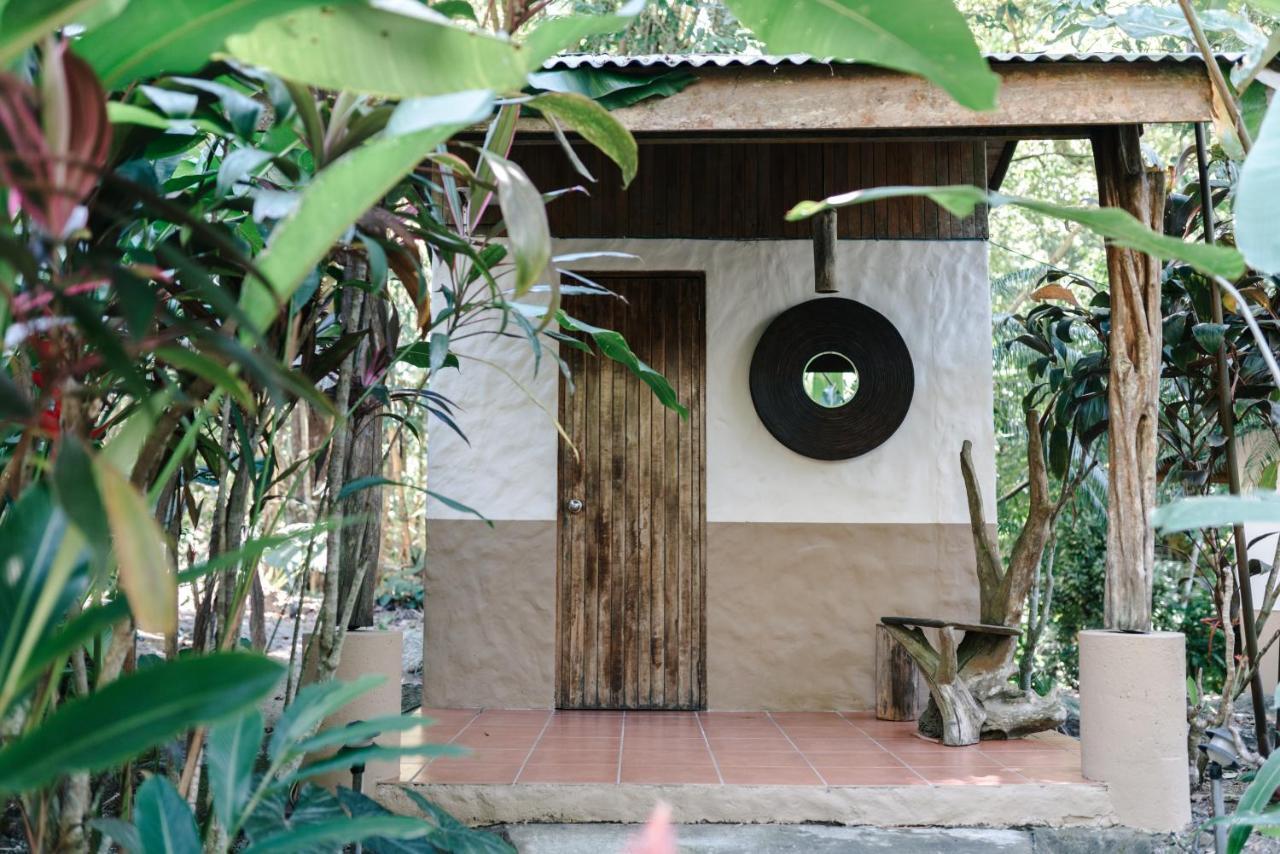 Bed and breakfast Star Mountain Jungle & Horse Ranch