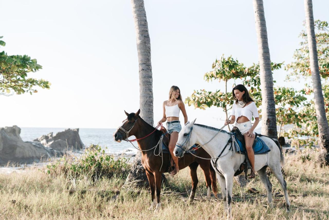 Star Mountain Jungle & Horse Ranch Bed and breakfast 3*