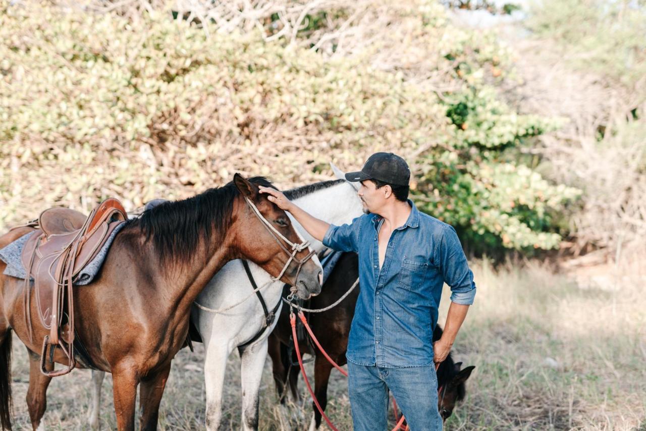 Bed and breakfast Star Mountain Jungle & Horse Ranch Malpais
